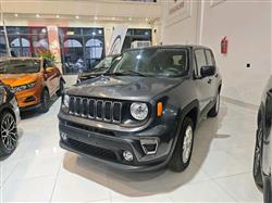 جيب رينيجيد